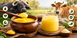 Buffalo Ghee Benefits: Nutrition, Uses, and How It Compares to Cow Ghee